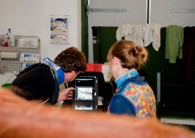 priors farm equine vets radiography forest row