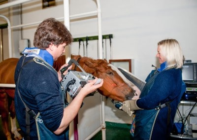 priors farm equine vets radiography clinic