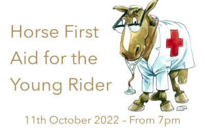 Under 18s Equine First Aid Master Class – Horse First Aid for the Young Rider