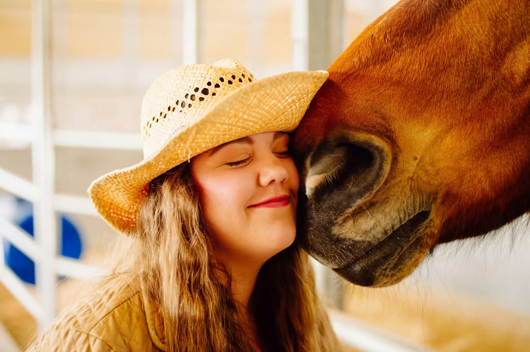 Priors Farm Equine Veterinary Surgery