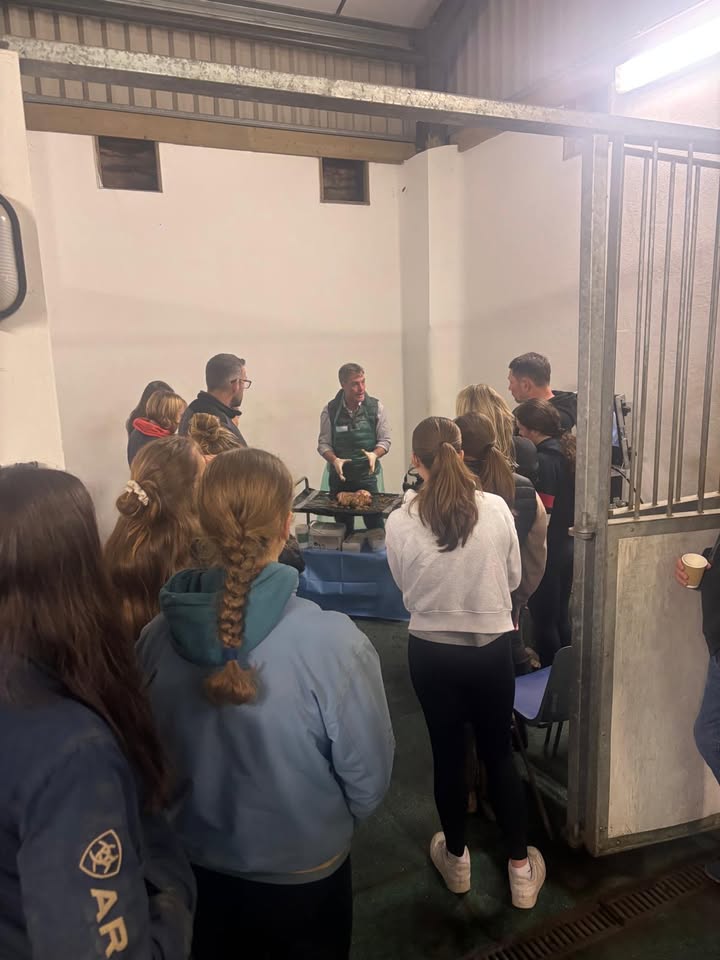 Priors Farm Equine Veterinary Surgery