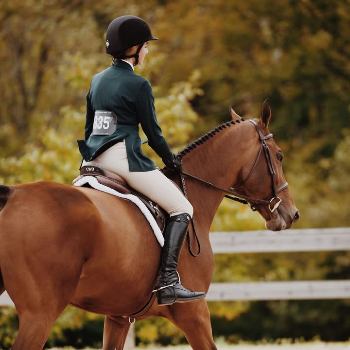 Priors Farm Equine Veterinary Surgery